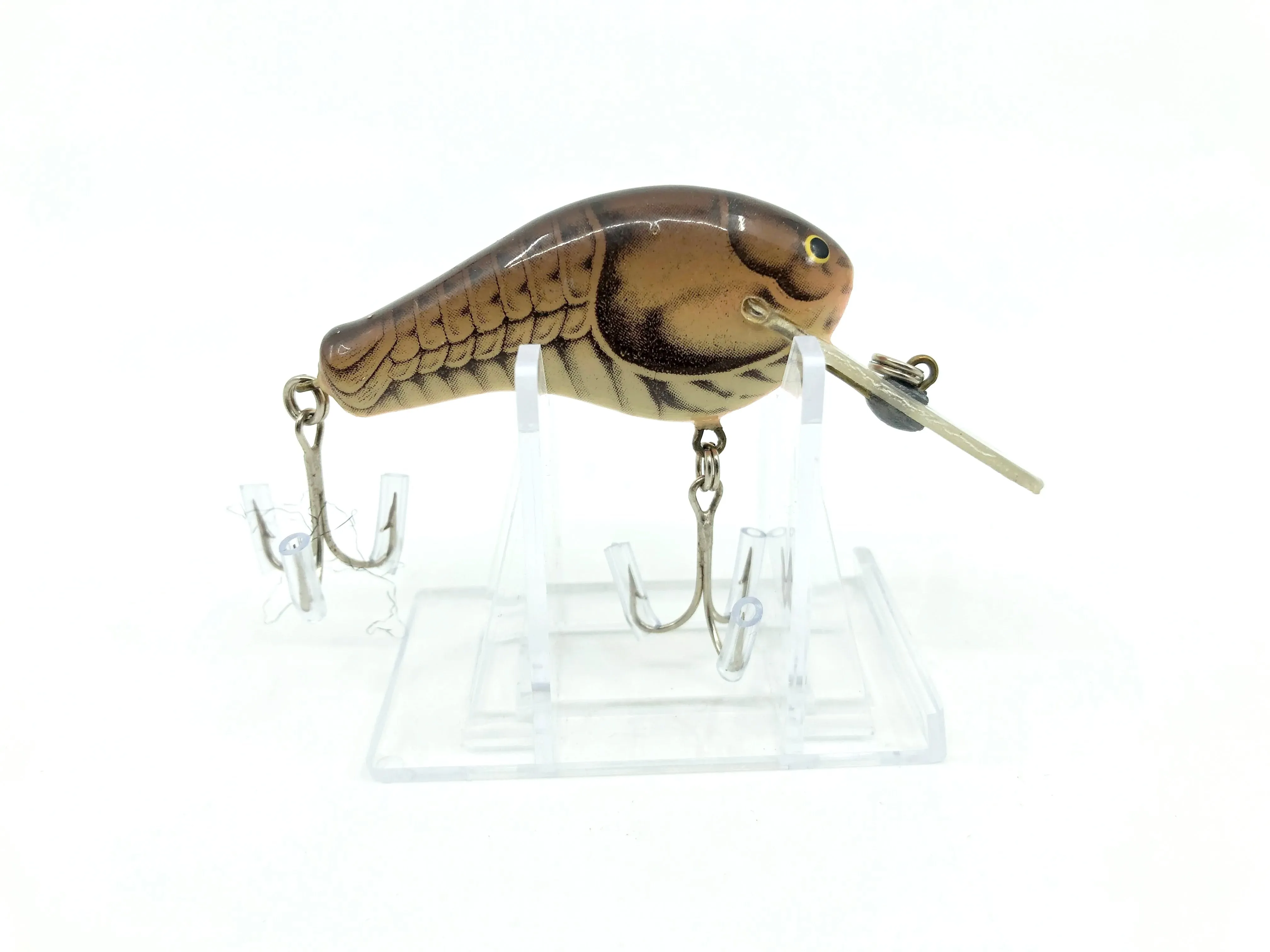 Bagley Balsa Diving B-Flat 2 DBF2-TDC True Life Dark Crayfish Color