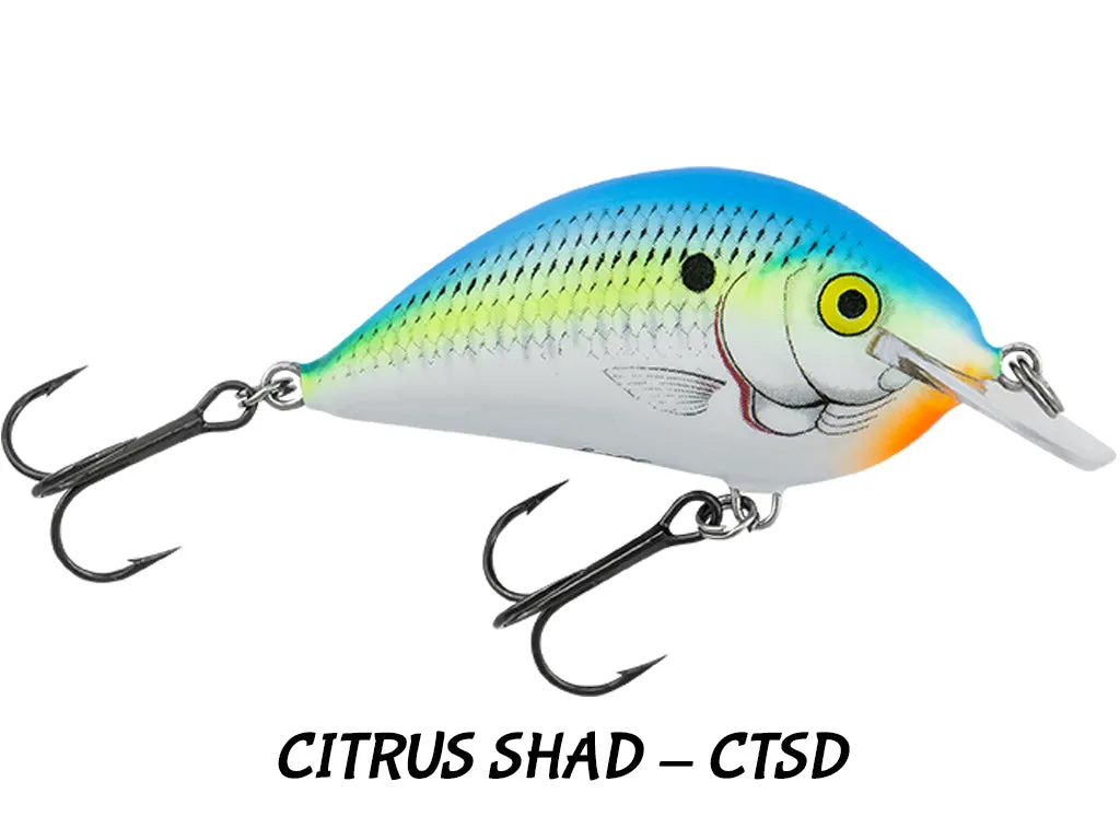 Bagley Pro Sunny B PSB07 (Many Colors to Choose from)