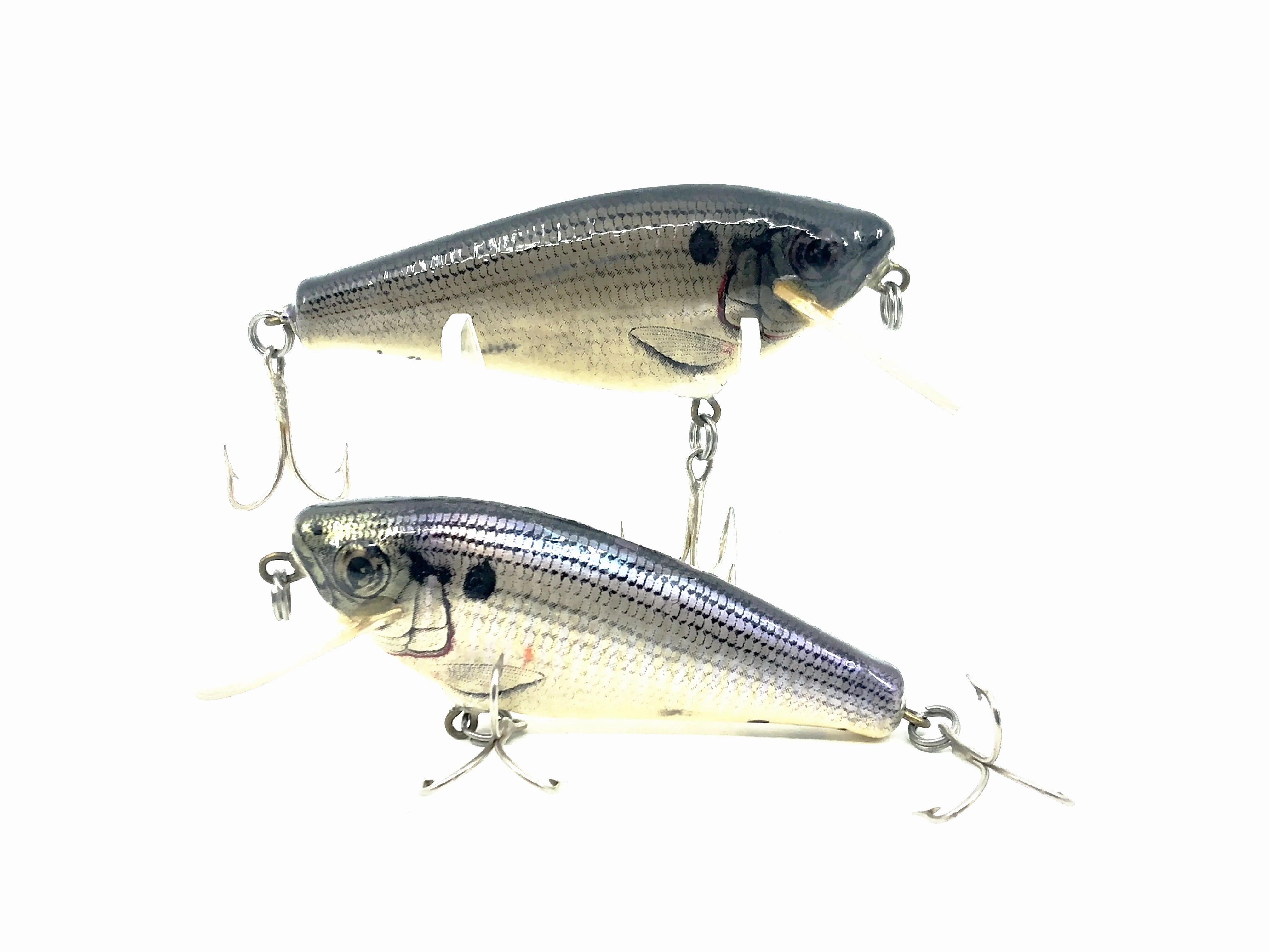 Bagley 4SF3 Small Fry Shad Combo,SH4 Shad on White Color