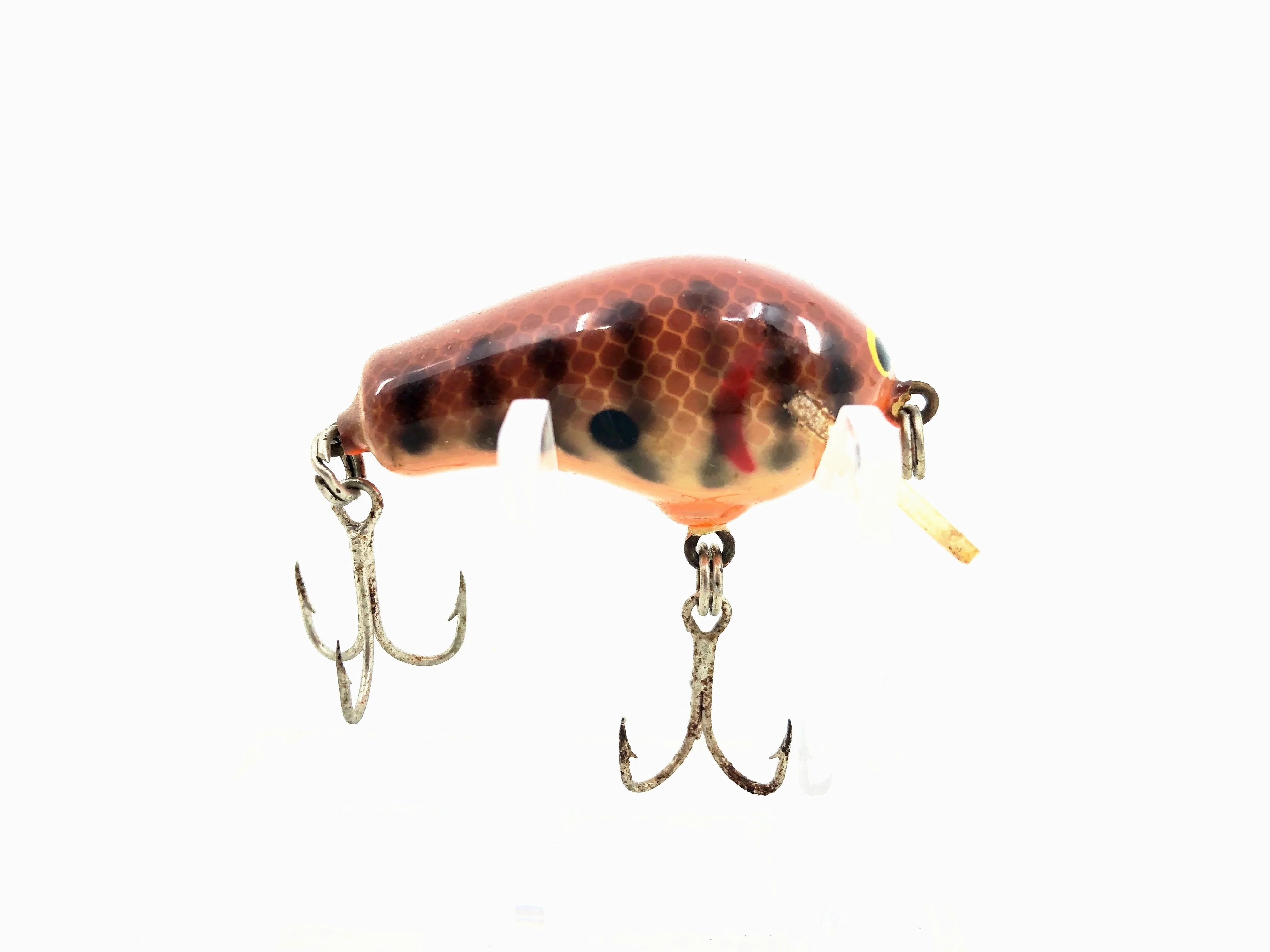 Bagley Honey B HB1-DC, Dark Crayfish Color