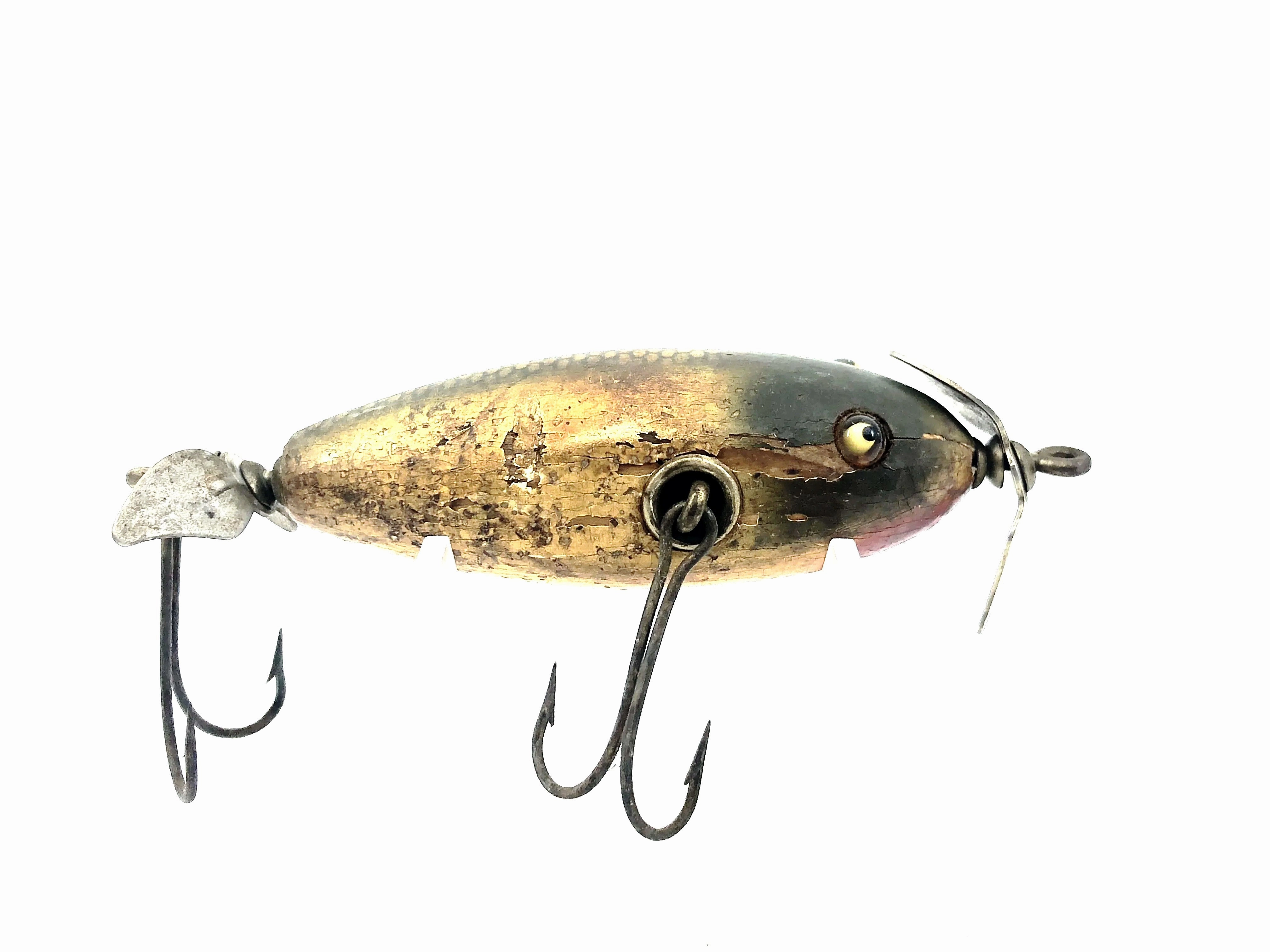 Creek Chub 1600 Baby Injured Minnow / Flatside Chub, Silver Flash Color 1618