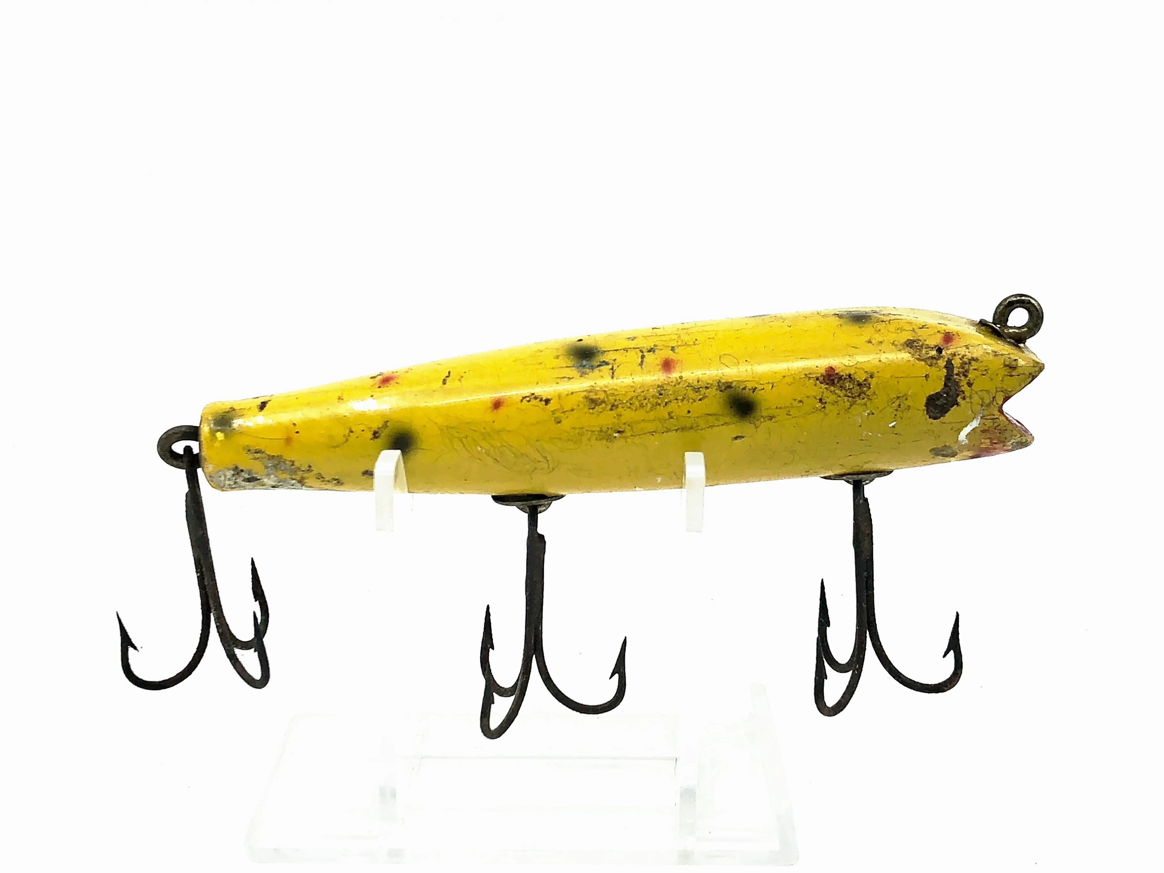Creek Chub 2000 Darter 2014 Yellow Spotted Color
