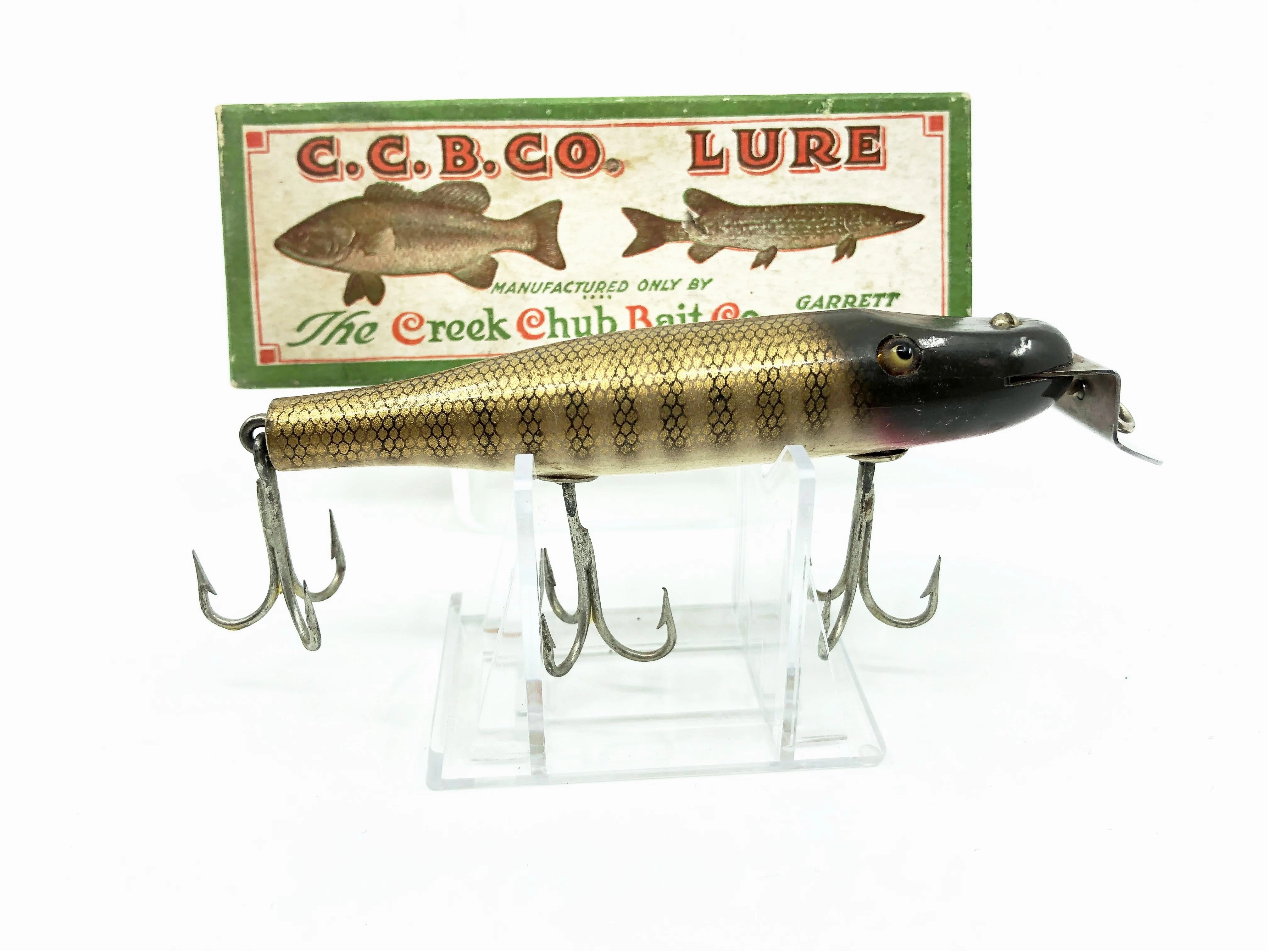 Creek Chub 700 Pikie in Pikie Color with Box - Classic
