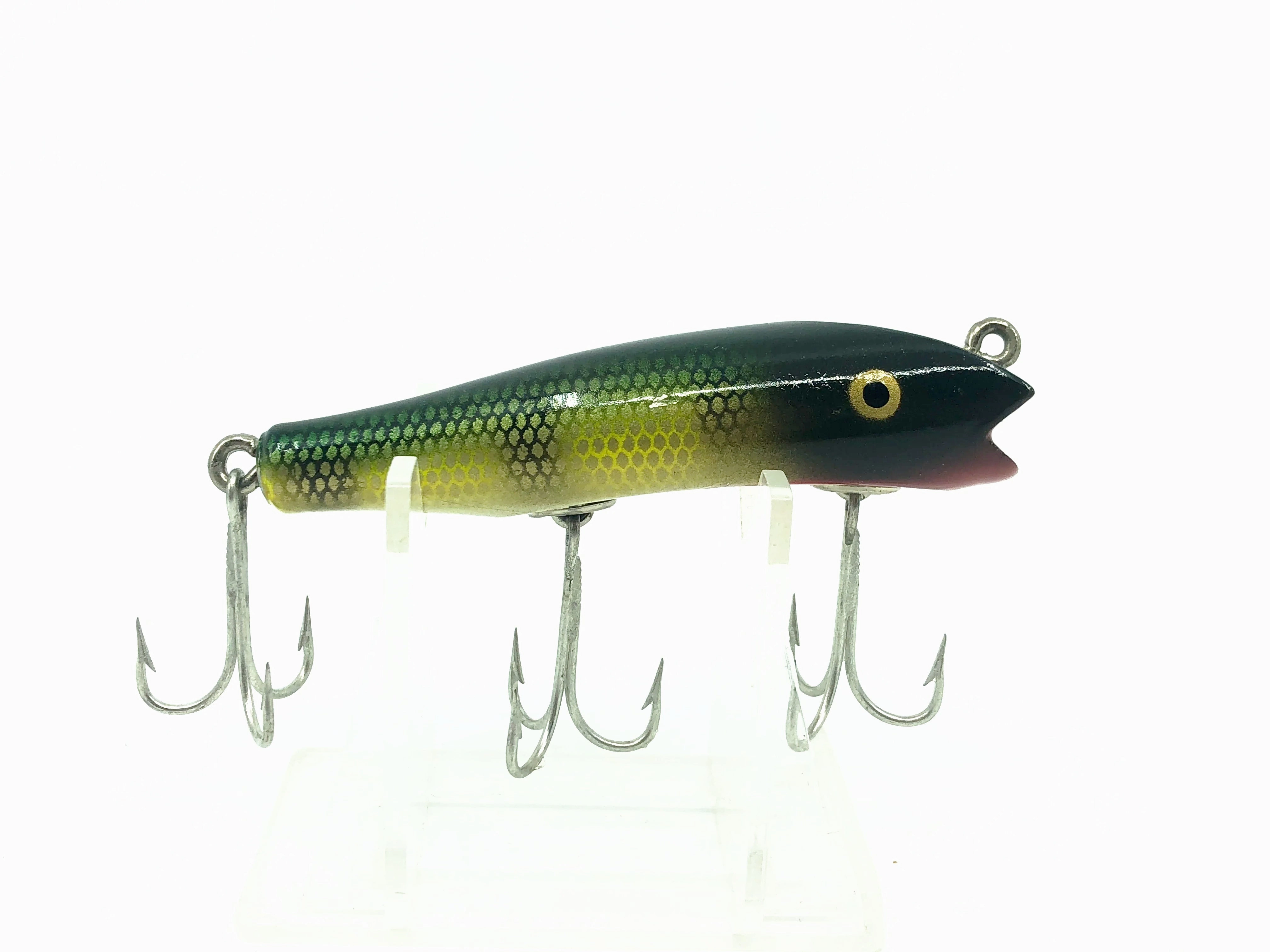 Creek Chub Concave Darter, #01 Perch Color