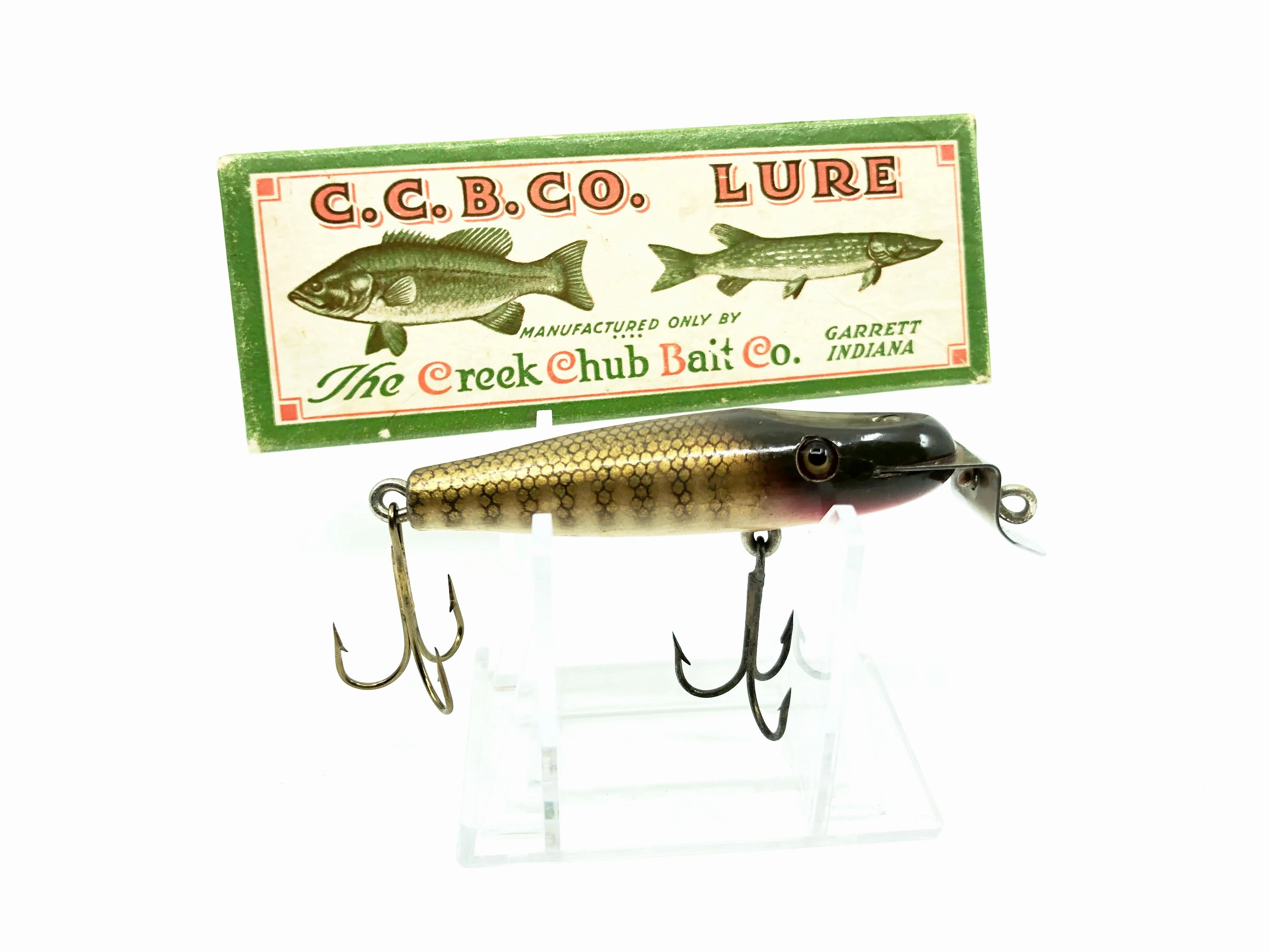 Creek Chub Midget Pikie Minnow 2200 Pikie Color with Box