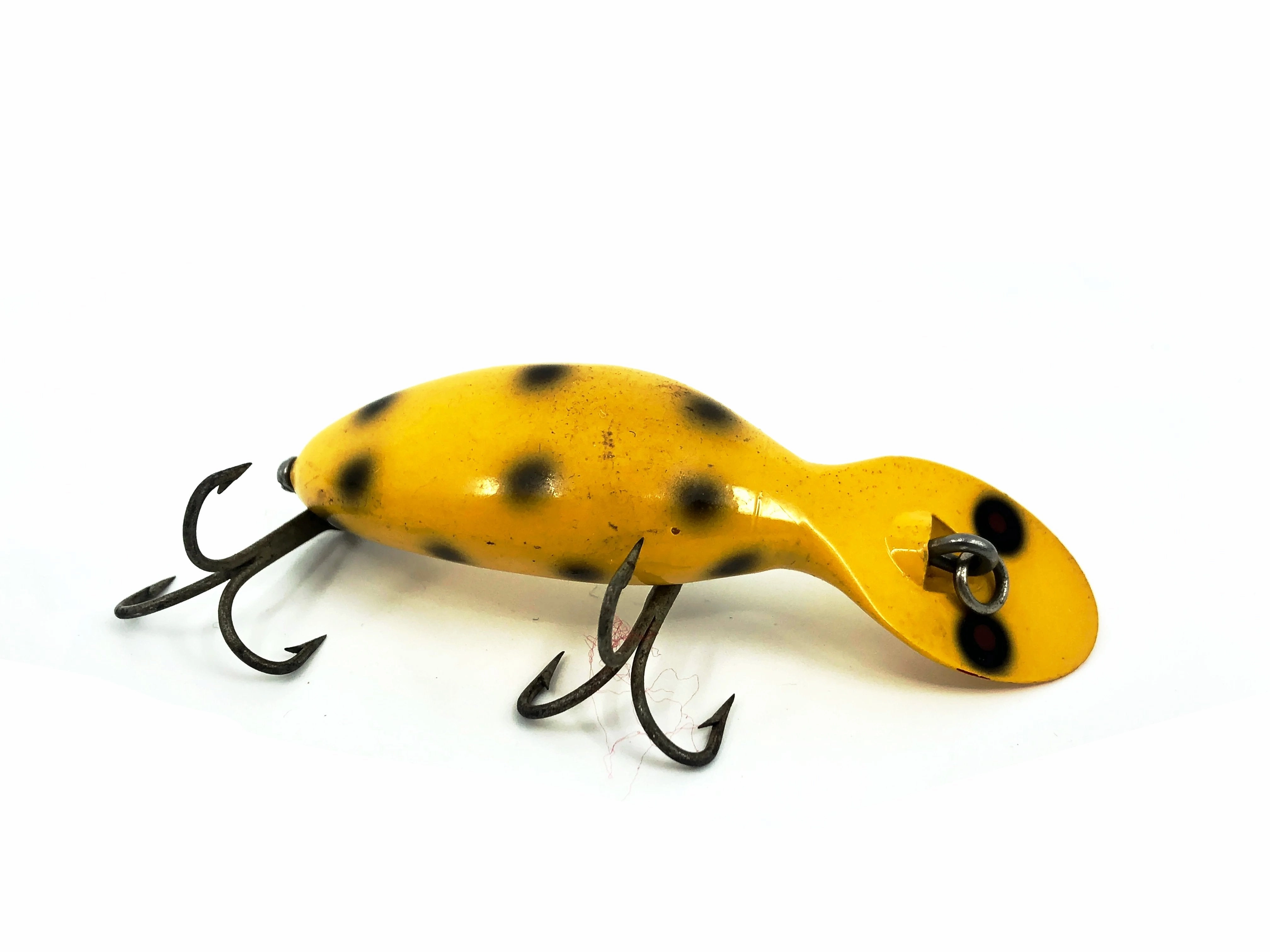 Heddon Tadpolly, YBS Yellow Black Spots Color